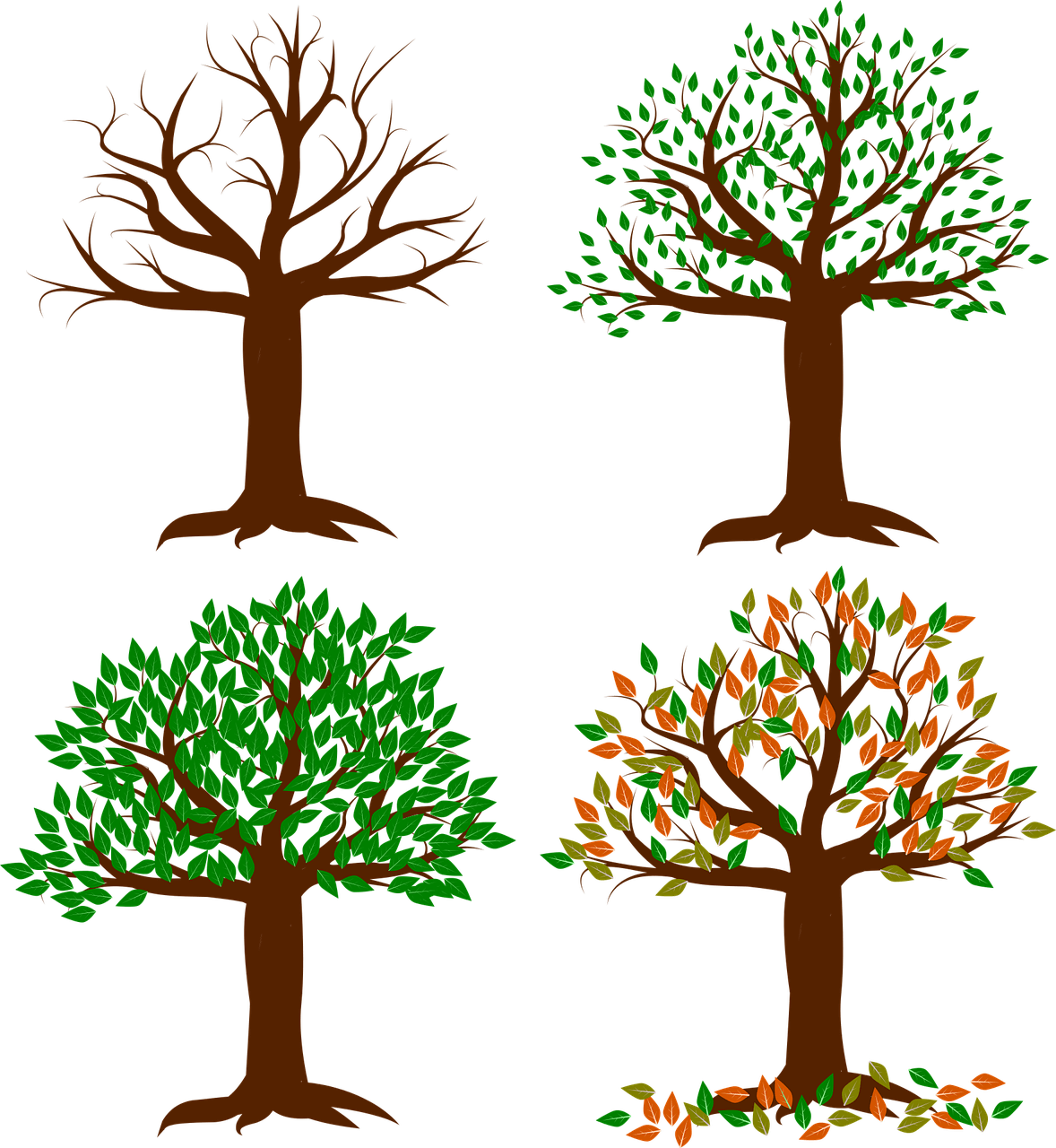 image of the main category seasonal at bretzel.ca